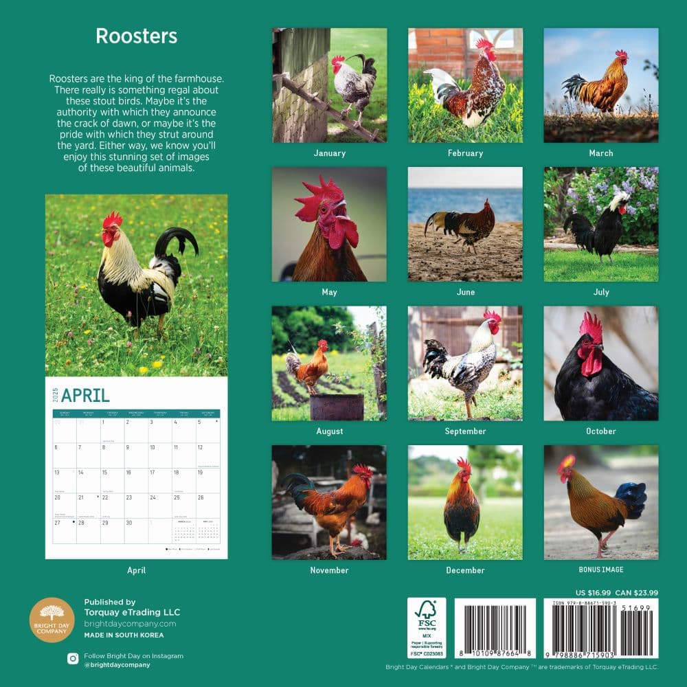 Roosters 2025 Wall Calendar First Alternate Image width="1000" height="1000"