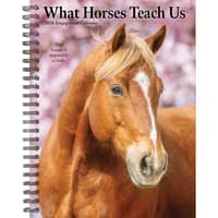 image What Horses Teach Us 2026 Engagement Planner Main Image