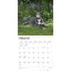 image Greyhounds 2024 Wall Calendar Second Alternate Image width=&quot;1000&quot; height=&quot;1000&quot;