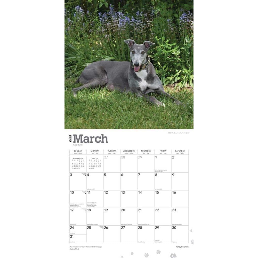 Greyhounds 2024 Wall Calendar Second Alternate Image width=&quot;1000&quot; height=&quot;1000&quot;