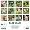 image Baby Goats 2025 Wall Calendar