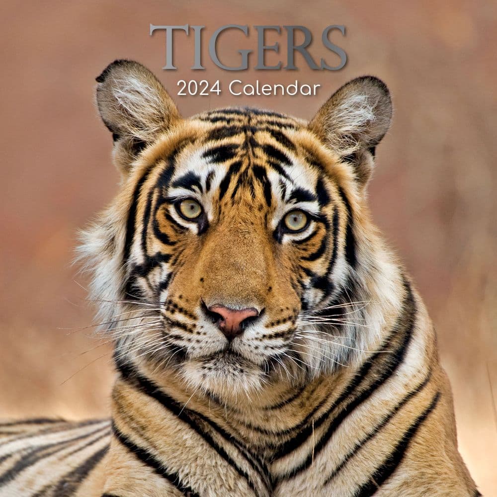 Chinese New Year 2024 Tiger Image to u