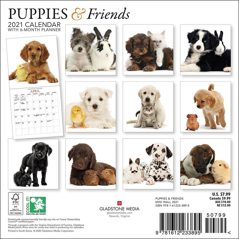 Download Puppies And Friends Mini Wall Calendar - Calendars.com