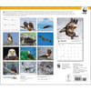 image Eagles WWF 2025 Wall Calendar First Alternate Image width="1000" height="1000"