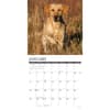 image Just Yellow Labs 2026 Wall Calendar Second Alternate Image