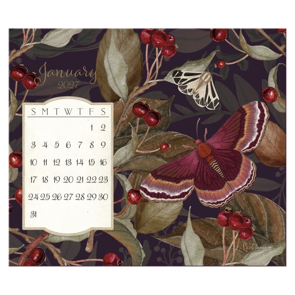 Midnight Garden Postcard 2027 Desk Calendar by Nicole Tamarin First Alternate Image