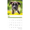 image Puppies 2025 Wall Calendar Third Alternate Image width="1000" height="1000"