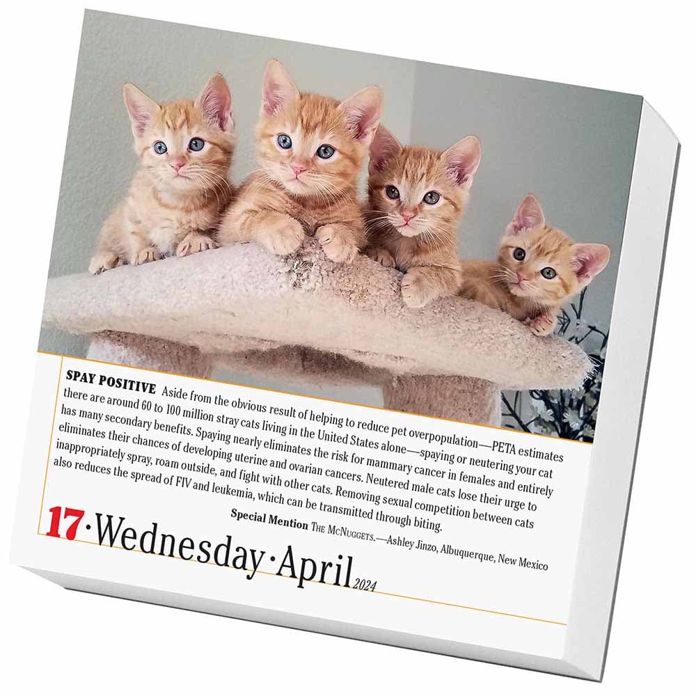 365 Cats 2024 PageADay Desk Calendar