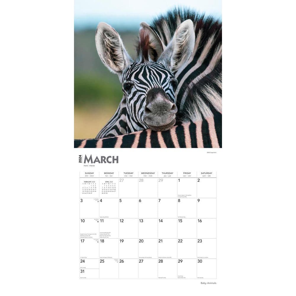 Baby Animals 2024 Wall Calendar