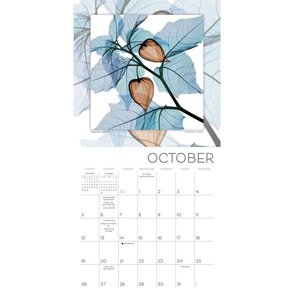 Flower Spirits 2025 Mini Wall Calendar Third Alternate Image width=&quot;1000&quot; height=&quot;1000&quot;