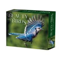 image Backyard Birds 2027 Desk Calendar Main Product Image