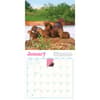 image Capybara 2027 Wall Calendar Second Alternate Image