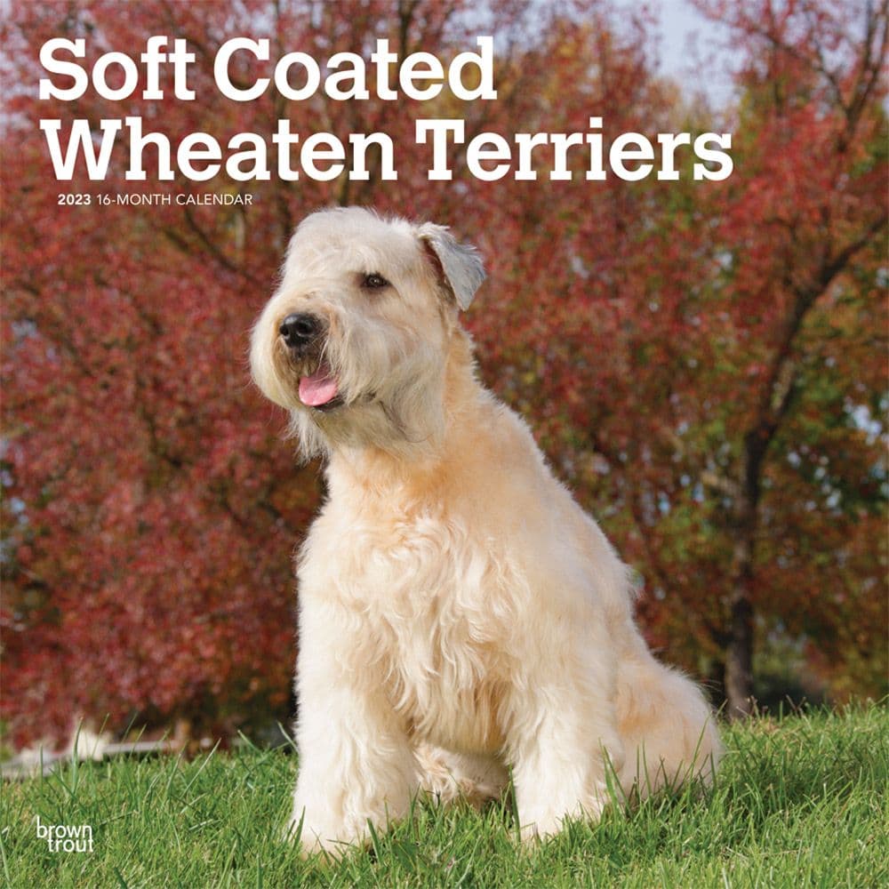 BrownTrout Wheaten Terriers Soft Coated 2023 Wall Calendar