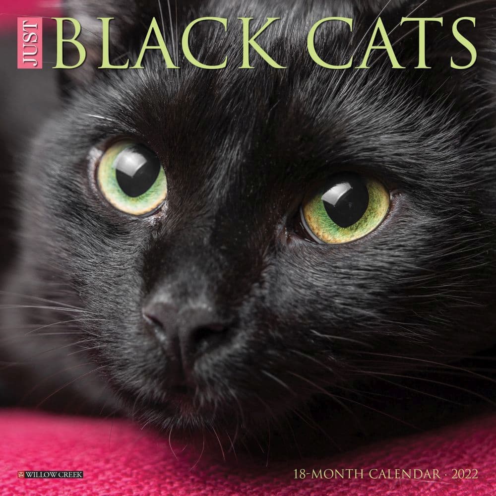 Black Cats 2022 Mini Wall Calendar