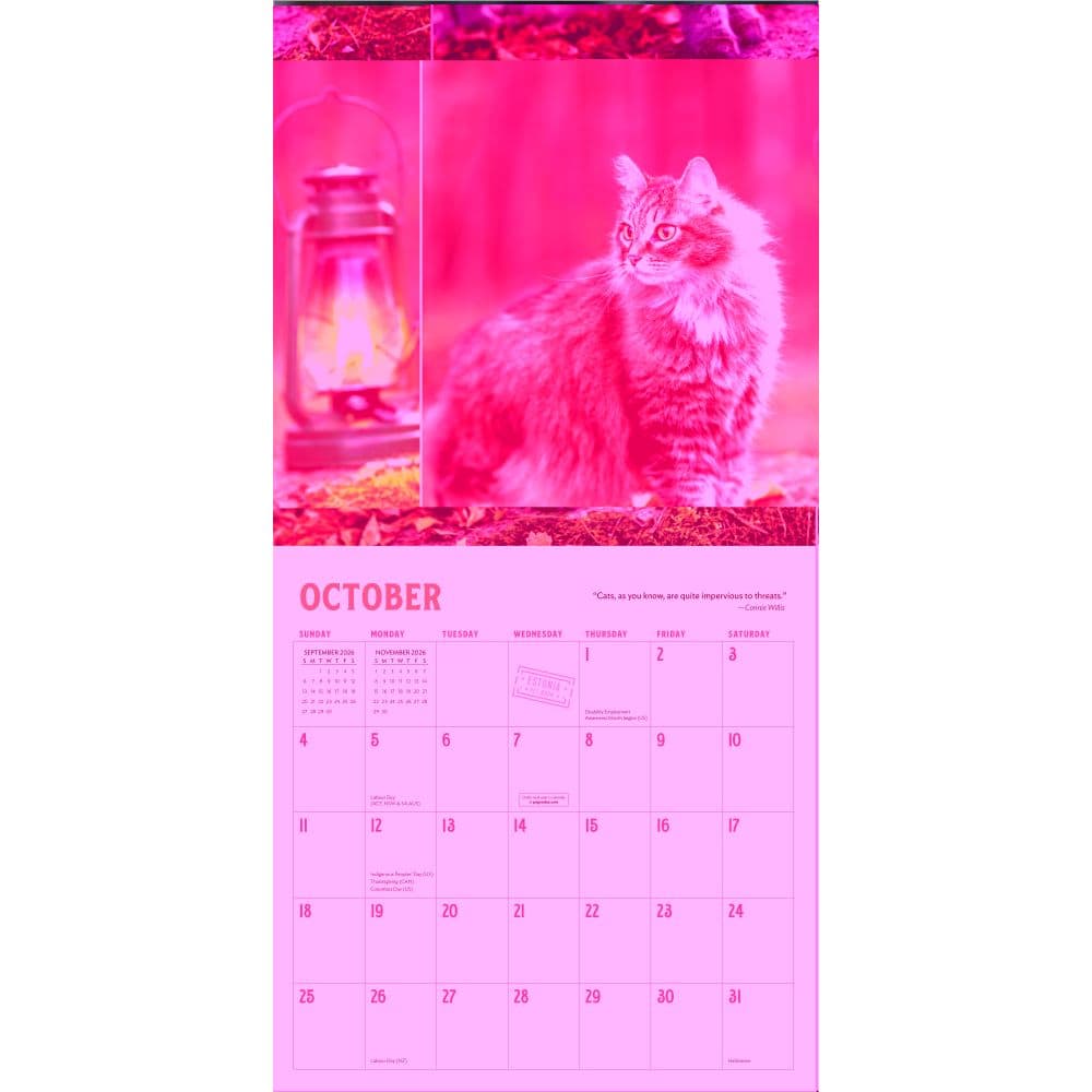 Travel Cats 2026 Wall Calendar Fourth Alternate Image