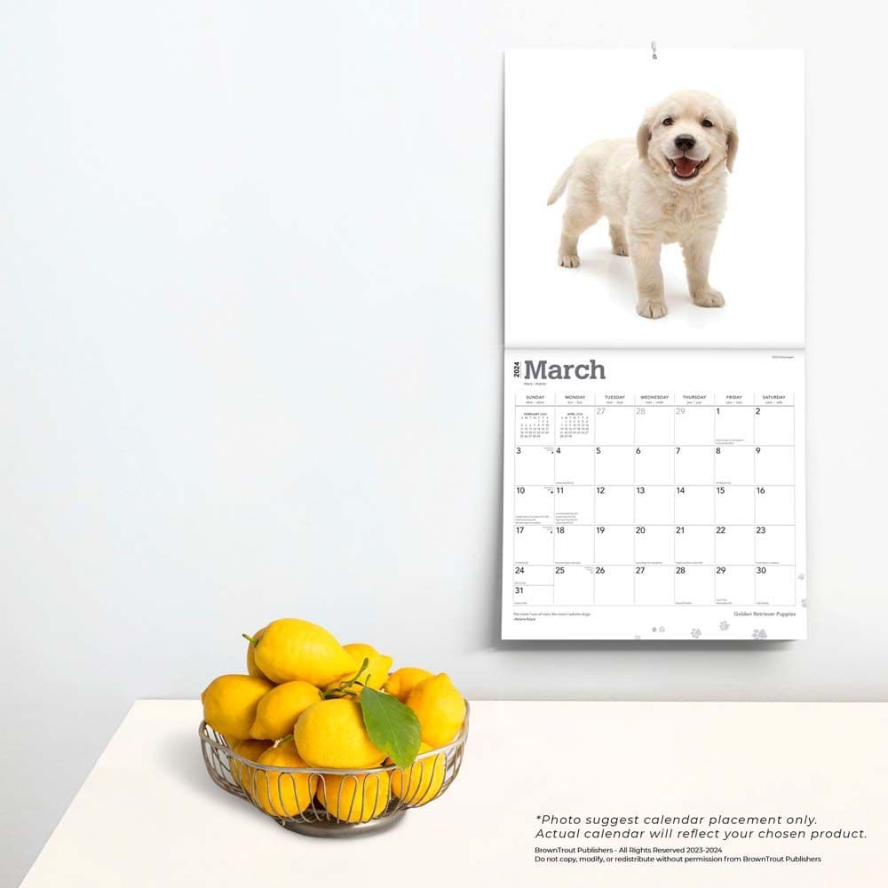 Golden Retriever Puppies  2024 Wall Calendar Alternate Image 3