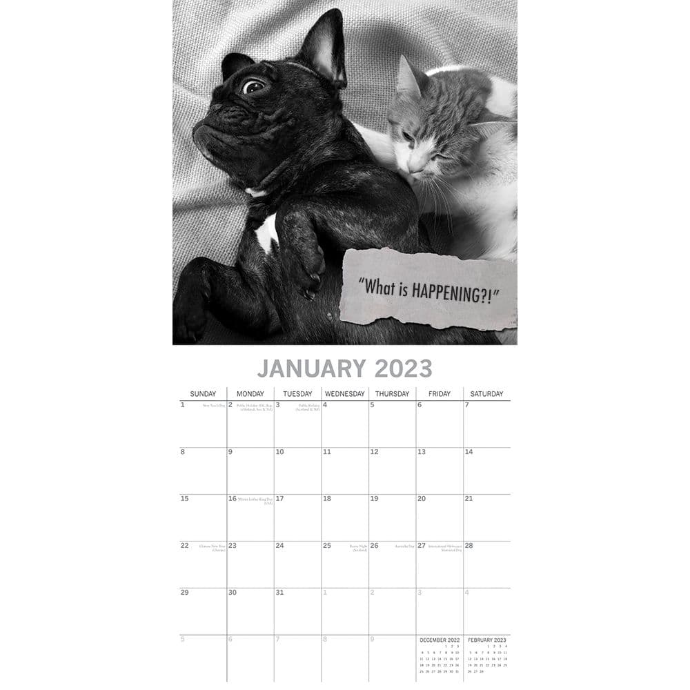 Mutts 2023 Wall Calendar - Calendars.com