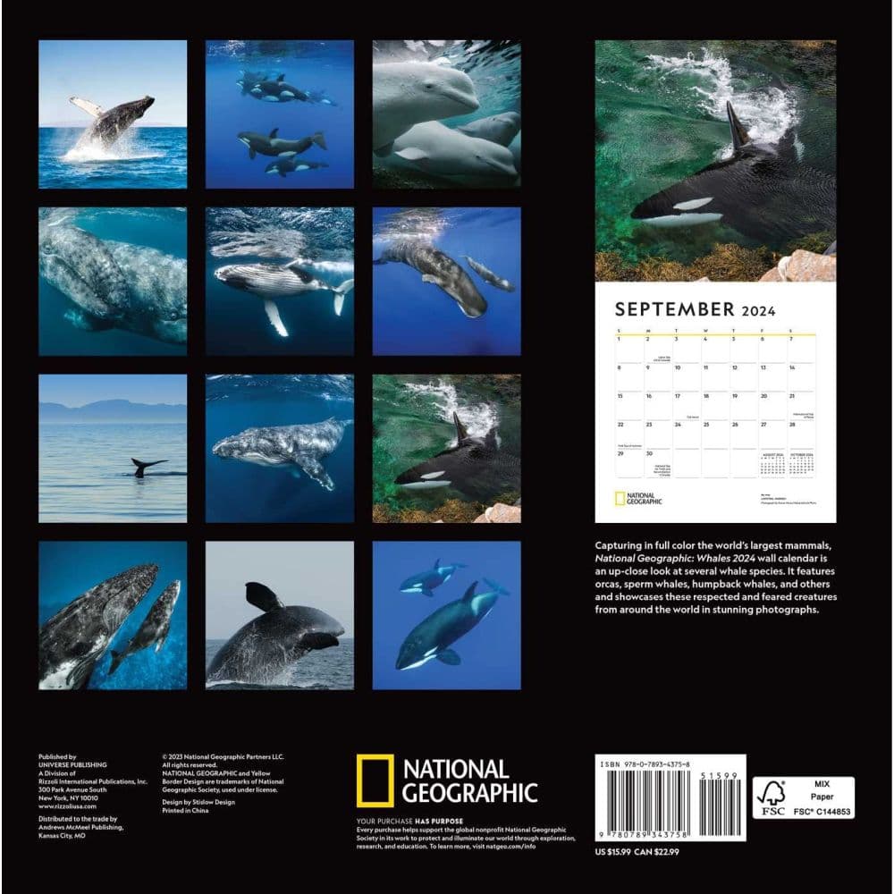 National Geographic Whales 2024 Wall Calendar Calendars Com   6b279e39 A764 4fdd 9195 16dbad24627b