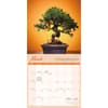 image Bonsai 2026 Wall Calendar Second Alternate Image