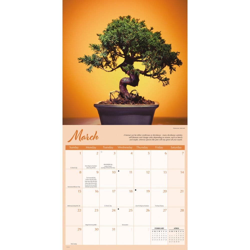 Bonsai 2026 Wall Calendar Second Alternate Image