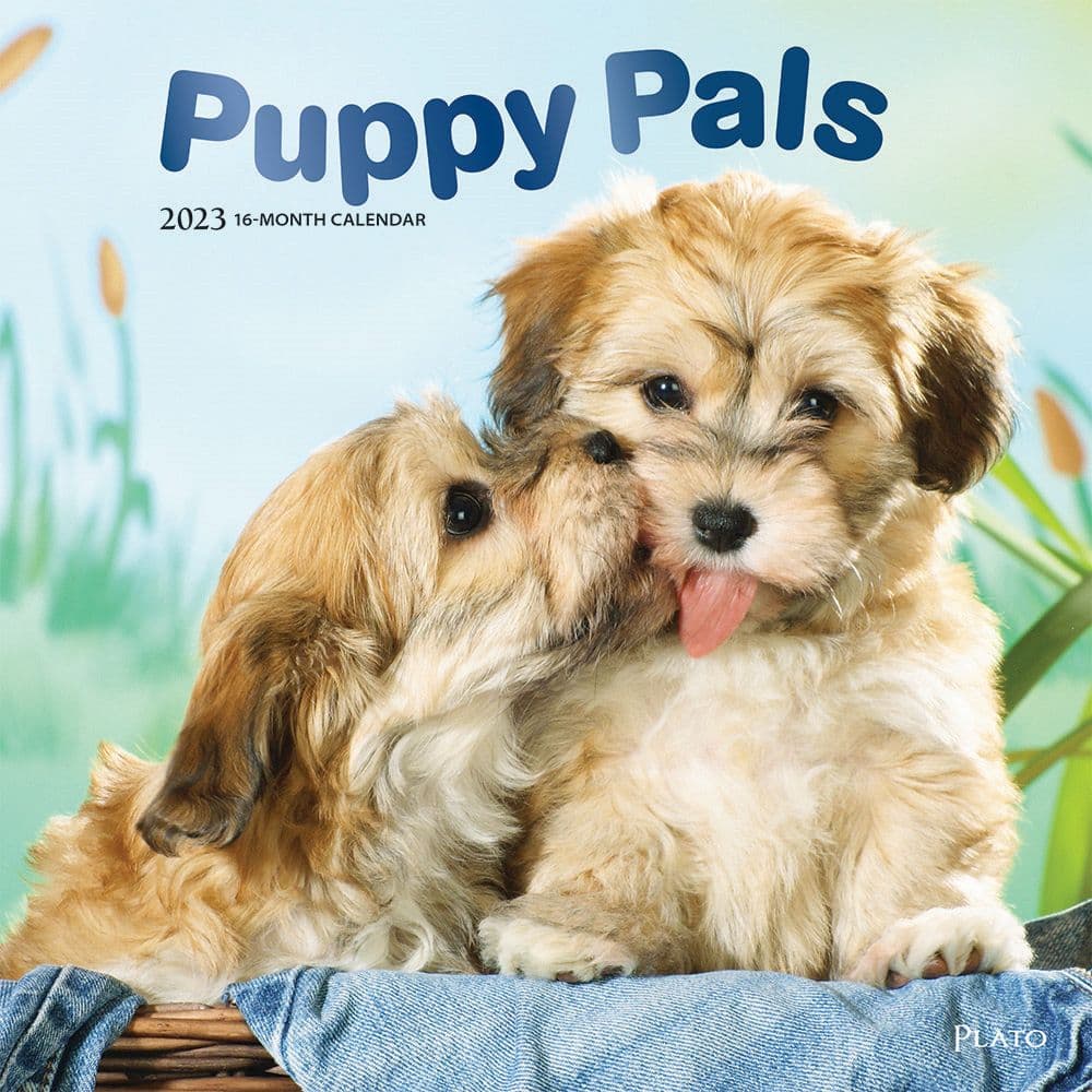 BrownTrout Puppy Pals 2023 Wall Calendar SV