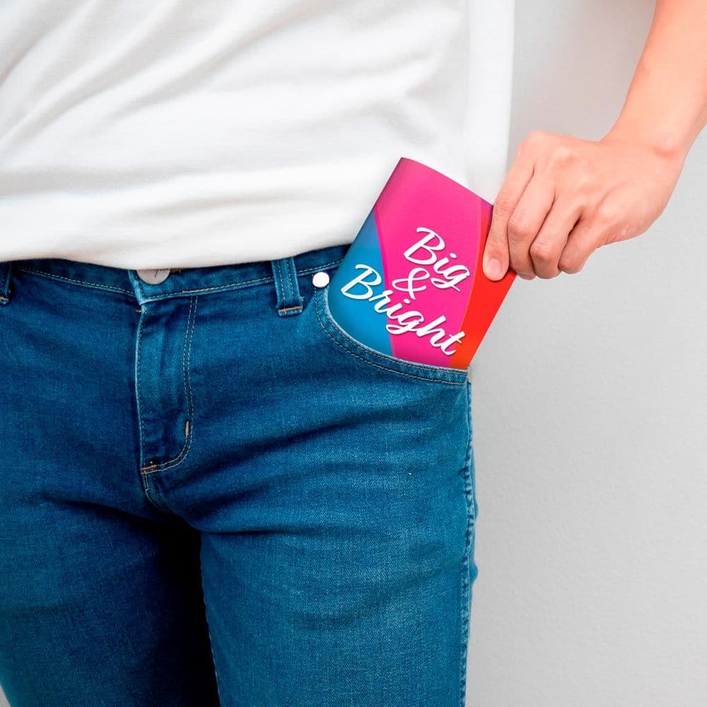 Large Print Pocket 2024 Planner