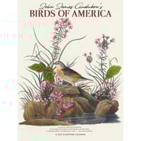 image Audubon Birds of America 2026 Wall Calendar Main Image