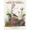 image Audubon Birds of America 2026 Wall Calendar Main Image
