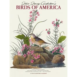 image Audubon Birds of America 2026 Wall Calendar Main Image
