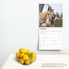 image Goats 2025 Wall Calendar