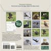 image Audubon Eagles 2026 Mini Wall Calendar First Alternate Image