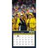 image Savannah Bananas 2025 Wall Calendar