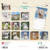 image West Highland White Terriers 2025 Wall Calendar First Alternate Image width=&quot;1000&quot; height=&quot;1000&quot;