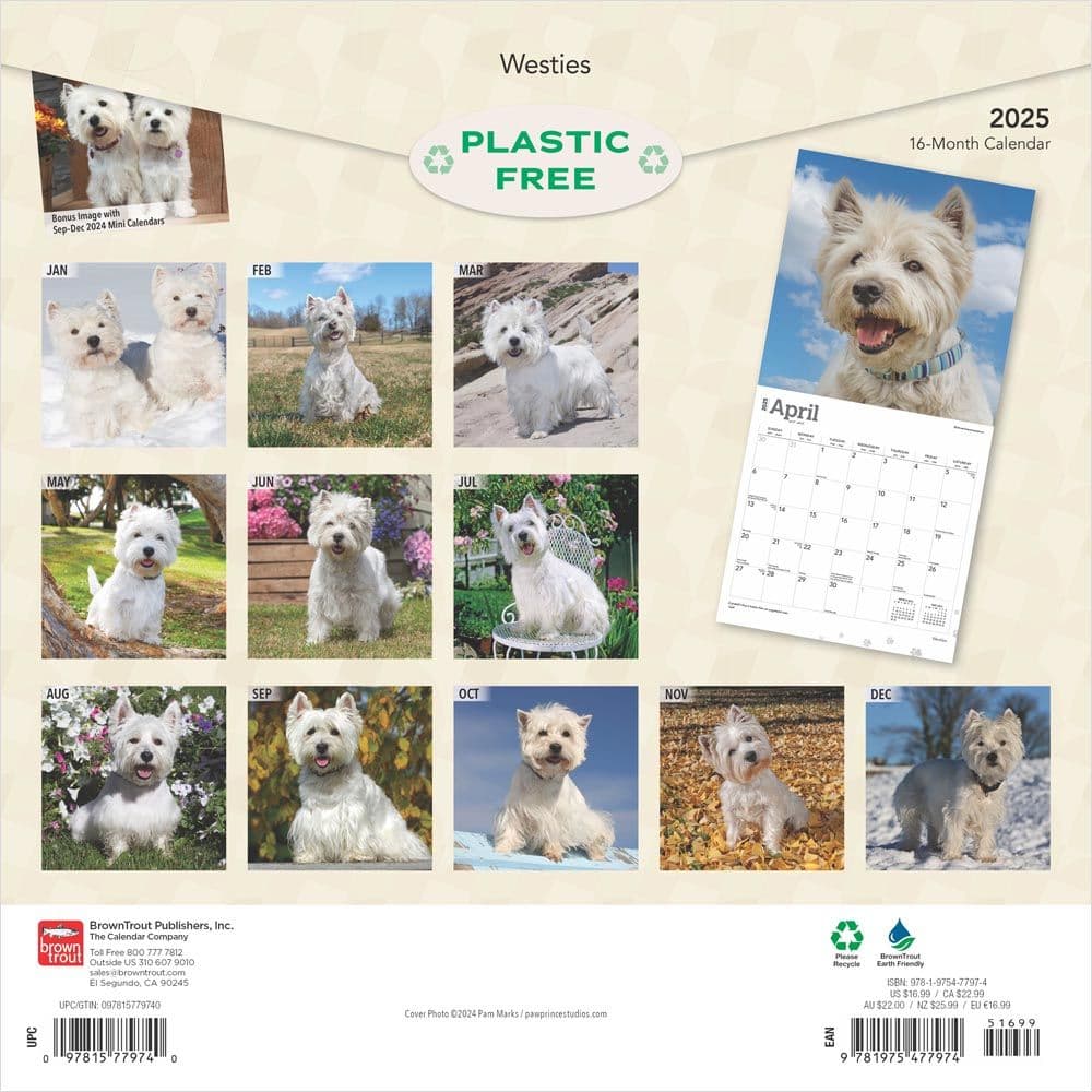 West Highland White Terriers 2025 Wall Calendar First Alternate Image width=&quot;1000&quot; height=&quot;1000&quot;