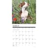 image Just Pit Bull Terrier Puppies 2025 Wall Calendar