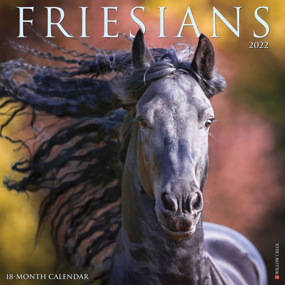 Horses Friesians 2022 Wall Calendar - Calendars.com