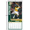image MLB Oakland Athletics 2027 Wall Calenda Fourth Alternate Image