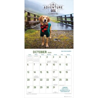 Dogs Adventure 2024 Wall Calendar Second Alternate Image width=&quot;1000&quot; height=&quot;1000&quot;