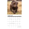 image What Labs Teach Us 2026 Wall Calendar Second Alternate Image