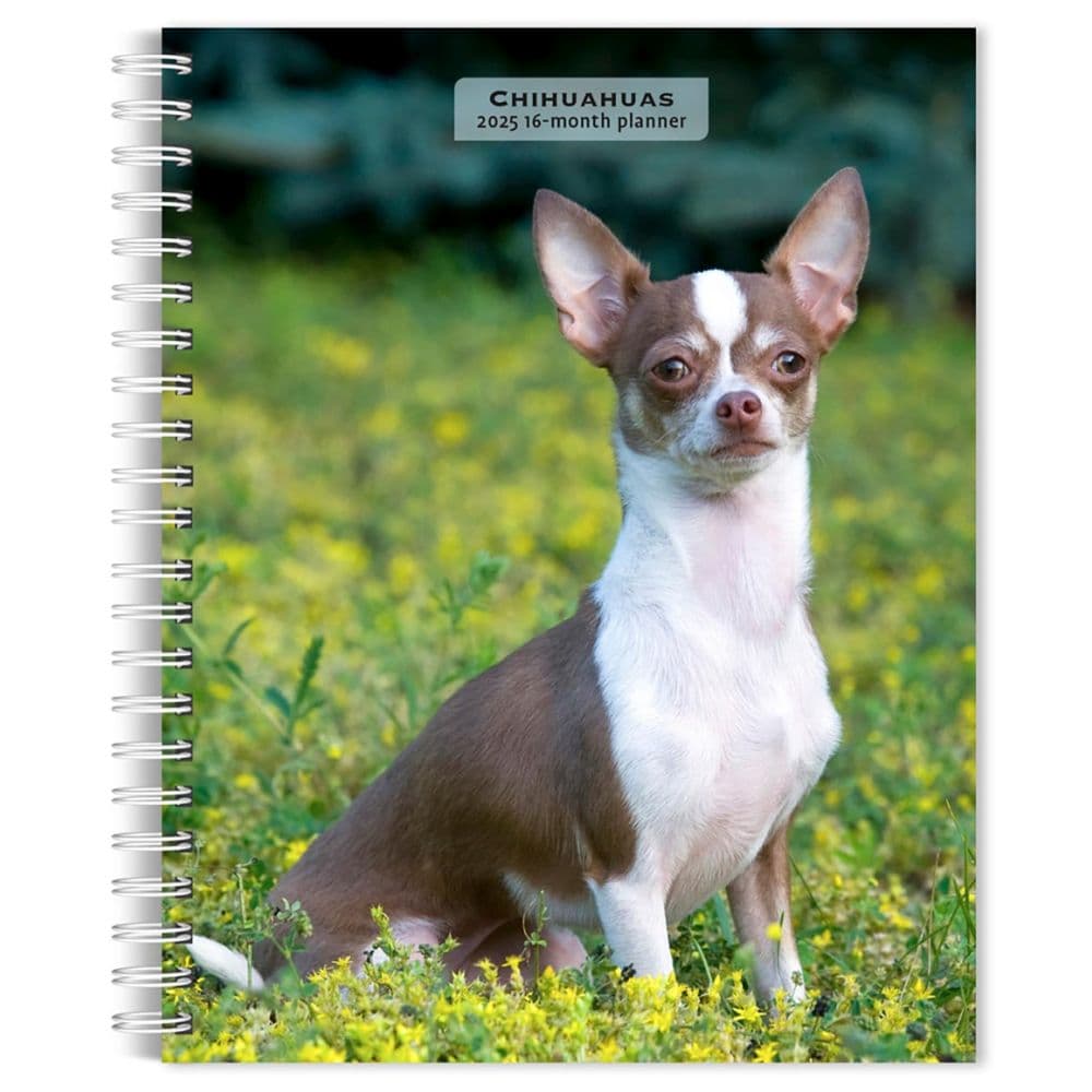 image Chihuahuas 2025 Engagement Planner Main Image