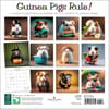 image Guinea Pigs Rule 2025 Wall Calendar First Alternate Image width="1000" height="1000"