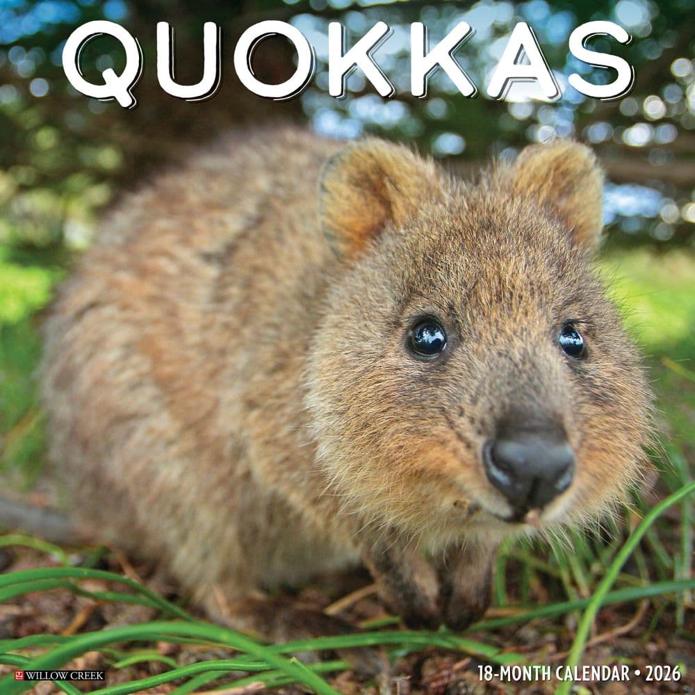 Quokkas 2026 Wall Calendar Main Image