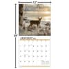 image White Tailed Deer 2024 Wall Calendar Size view