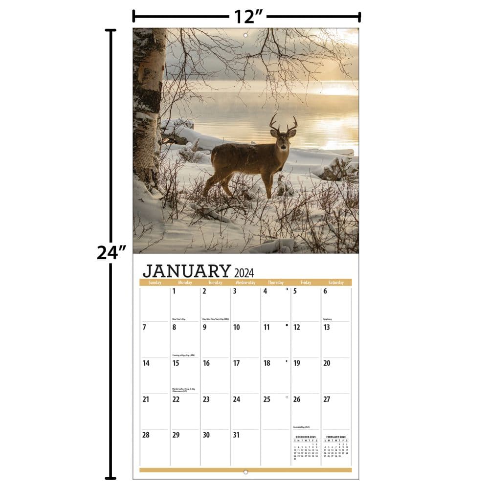 White Tailed Deer 2024 Wall Calendar Size view