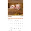 image Mini Pigs 2025 Wall Calendar Second Alternate Image width=&quot;1000&quot; height=&quot;1000&quot;