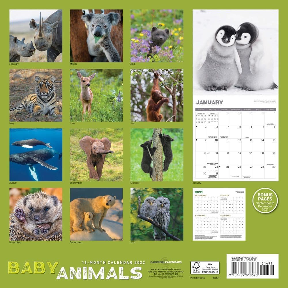 Baby Animals 2022 12 x 12 Inch Monthly Square Wall Calendar