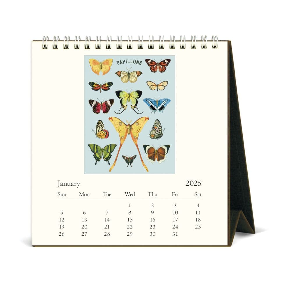 Butterflies 2025 Easel Desk Calendar First Alternate Image width="1000" height="1000"