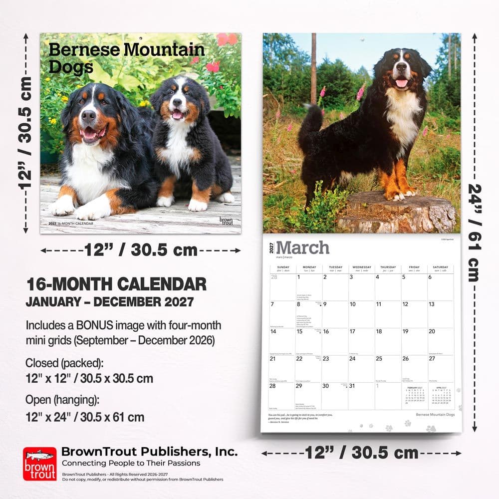 Bernese Mountain Dogs 2027 Wall Calendar Seventh Alternate Image