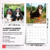 image Bernese Mountain Dogs 2027 Wall Calendar Seventh Alternate Image