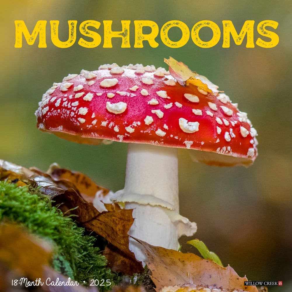 Mushroom Art 2025 Wall Calendar